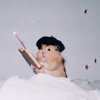 ✴︎ entothej ˖˚ ⋆˚𐙚。 (@entothej) 's Twitter Profile Photo ✴︎ entothej ˖˚ ⋆˚𐙚。 (@entothej) 's Twitter Profile Photo