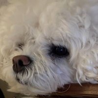 🌈비౨ৎ (@bowintherain) 's Twitter Profile Photo 🌈비౨ৎ (@bowintherain) 's Twitter Profile Photo