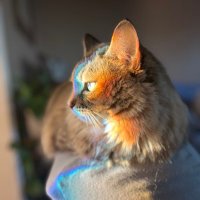 IslaBets (@1nicecryptokity) 's Twitter Profile Photo IslaBets (@1nicecryptokity) 's Twitter Profile Photo