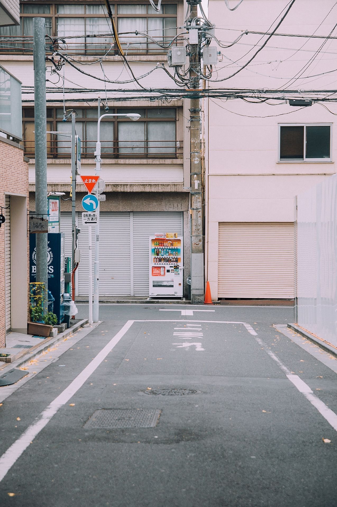 水著內內さんのプロフィール画像