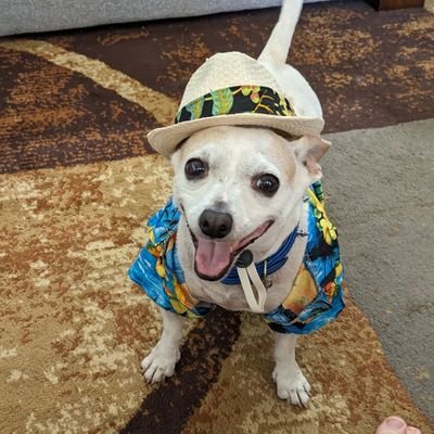 D4t4_B3nd3r's profile picture. Air      👉💨😎👉💨   🔥👈😎🔥👈Fire                        
Water 👉💦😎👉💦   🥬👈😎🥬👈Earth                           46 75 63 6B { D👈A😎T👉A } 59 65 61 68