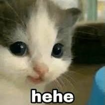 Carlwis07's profile picture. Yeap