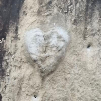 Space2803's profile picture. Random guy. Thats it.