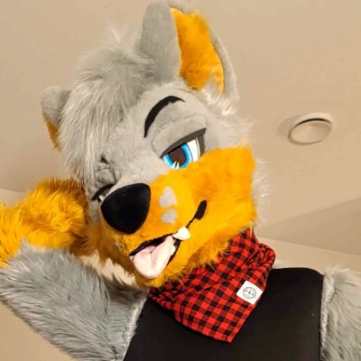Hi i'm Skout! 🦊♂️ ● Tired Video Editor/Sound Engineer ●
Rope Bunny ● Married ●Suggestive/18(+)●🧵🦊@wolf_daz ●