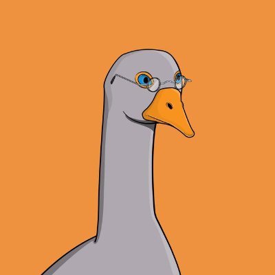 geek.algo Profile