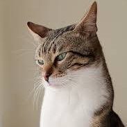 bigquery124693's profile picture. 