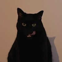 Dave Robertson (@logicaldeduce) 's Twitter Profile