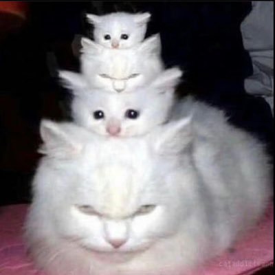 isj136322's profile picture. 