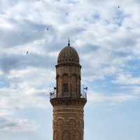 Zeynep (@pdzeyyneep) Twitter profile photo