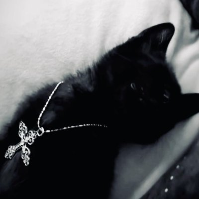 1kmq4's profile picture. opium
--------
I can and will post uncensored media, especially when  it comes to issues
--------
check my https://t.co/CsnVSBZcrR for all my other connections