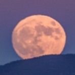 butnotbyyou's profile picture. Views are my Own
she/her