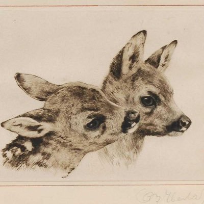 vincrsi's profile picture. my diary