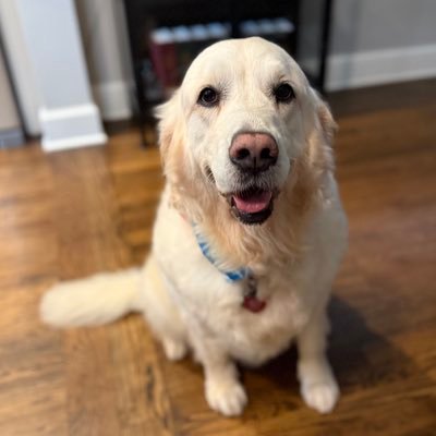 jillianickes's profile picture. 