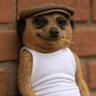 idjenimoney's profile picture. Dj,Producer,Fashion Model,A&R