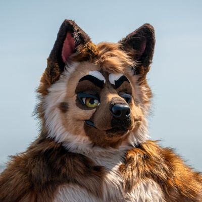 Mischief fursuiter and Engineer shepdog! He/Him, 32, 🔞. Tweets about food and takes pictures outside sometimes. Chasing @fateclaw's tail ❤️ AD: @shepfrosting