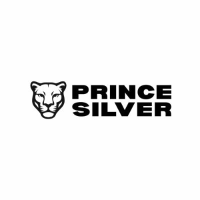 Advancing the Past-Producing Prince Silver Deposit in Nevada
CSE: PRNC OTC: HWTNF