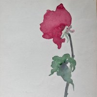 مبارك الدوسري (@aldwsry14078) 's Twitter Profile