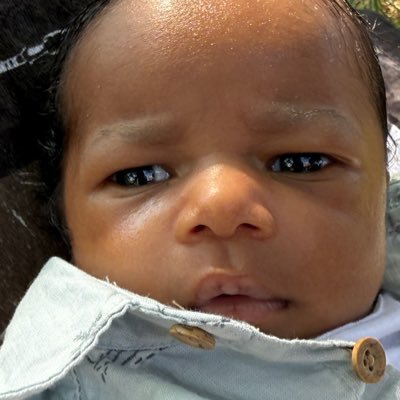 HBKShanDo's profile picture. Say Stane. 8/27/21 A Jordie named Shordie