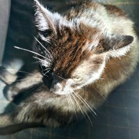 Grzechotnik (@remekh) 's Twitter Profile