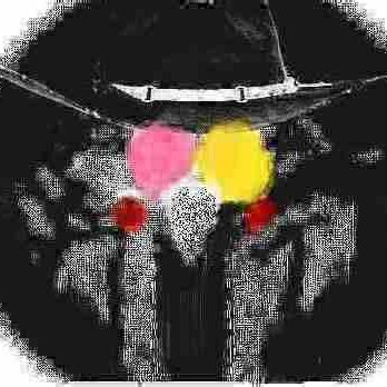 -Creator of FIM 2: Rotten cowboy theory
-Currently working on a roblox game called anomoly paradıse
-funny guy who tweets funny shit sometimes