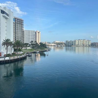 cashcrest's profile picture. Money please