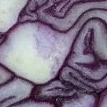 TAGASAlNG's profile picture. the only reason y im here is bcos im jobless