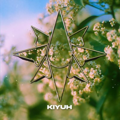 North Kiyuh Profile