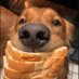 Dough (@doughlikedogs) Twitter profile photo Dough (@doughlikedogs) Twitter profile photo