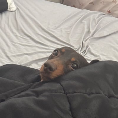 Proud_plants's profile picture. AI, AI, AI, and AI