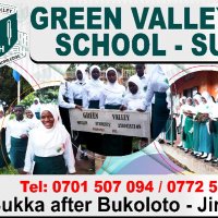 Green Valley high school sukka (@sukka42568) 's Twitter Profile
