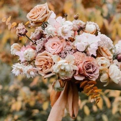 sandrine1014067's profile picture. 🥰🤍🎉