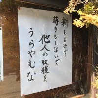 ぽん太 (@p383912r12mhay4) Twitter profile photo