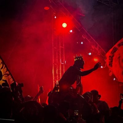 Reventador de los idiotas