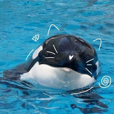 ClaudiaSon40680's profile picture. 𝑎𝑝𝑒𝑛𝑎𝑠 𝑢𝑚𝑎 𝑎𝑢𝑡𝑖𝑠𝑡𝑎 𝑐𝑜𝑚 𝑑𝑒𝑝𝑟𝑒𝑠𝑠𝑎̃𝑜 💕