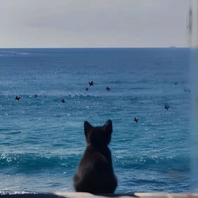__glor's profile picture. 