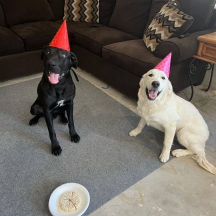 AFlose82560's profile picture. 