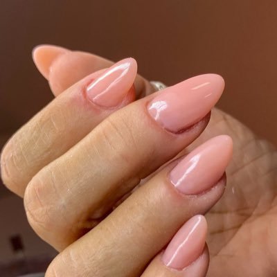 flordopapis's profile picture. 