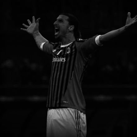 minipacz33's profile picture. 