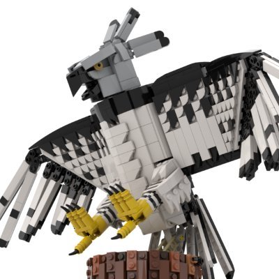 Lego account for Japanese AFOL. More active on instagram.
レゴアカウント。インスタグラムの方が活動しています。
Making birds around the world.
色々な世界の鳥をメインに作っています。