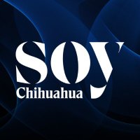 SOY Chihuahua (@soychihuahuamx) 's Twitter Profile Photo