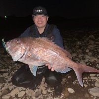 ハリタク (@takukano0501) 's Twitter Profile