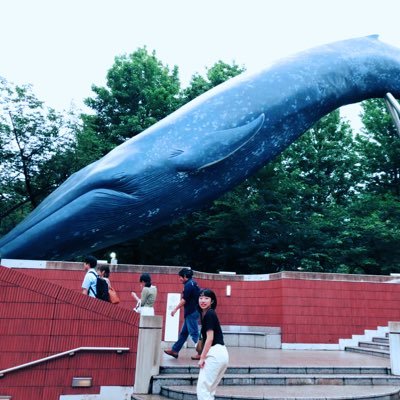 とりうさぎさんのプロフィール画像