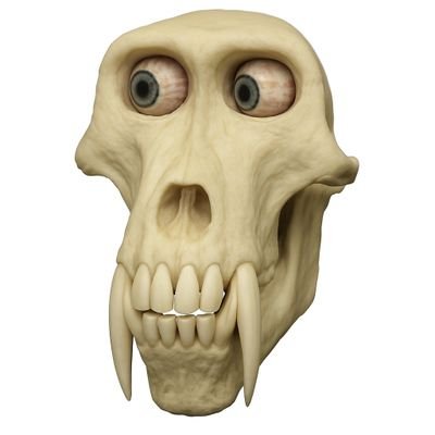 peterbelike_xd's profile picture. 