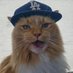 cåt (@aryanohtani) Twitter profile photo cåt (@aryanohtani) Twitter profile photo
