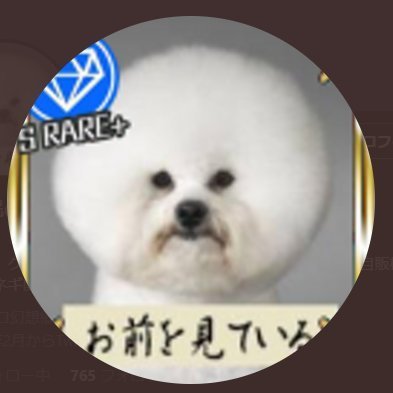 _Y_A__'s profile picture. コイン収集（外国コイン、日本の硬貨、紙幣、銀貨がお気に入り）。先祖調査などなど。最近植物の栽培もしています