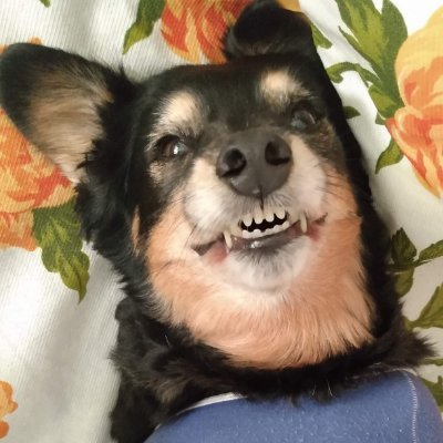 onslght_'s profile picture. always grinding