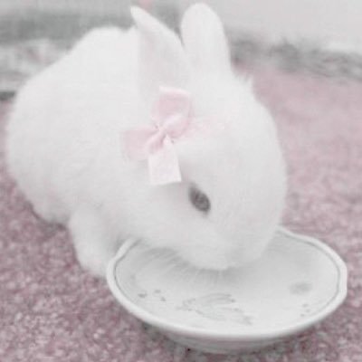 sexiiiasslexiii's profile picture. very freaky bunniii