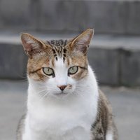 NAM-GYU 남규 (@twelvefore) 's Twitter Profile