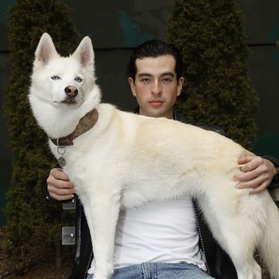 AlanMillanViv's profile picture. Founder +CTO | @pointerfordogs