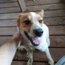 DavidGl53009334's profile picture. 